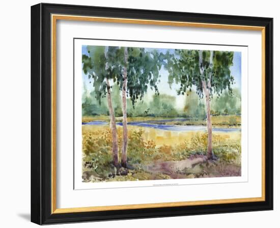 Luminous Meadow I-Tim O'toole-Framed Art Print