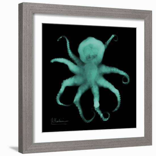 Luminous Octopus-Albert Koetsier-Framed Premium Giclee Print