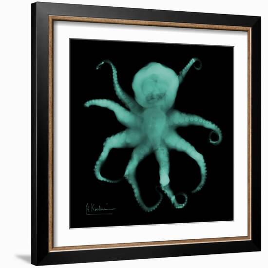 Luminous Octopus-Albert Koetsier-Framed Premium Giclee Print