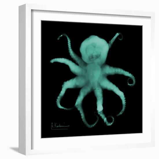 Luminous Octopus-Albert Koetsier-Framed Premium Giclee Print