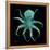 Luminous Octopus-Albert Koetsier-Framed Stretched Canvas