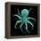 Luminous Octopus-Albert Koetsier-Framed Stretched Canvas