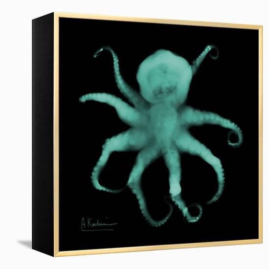 Luminous Octopus-Albert Koetsier-Framed Stretched Canvas