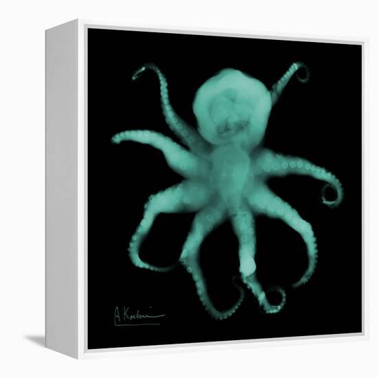 Luminous Octopus-Albert Koetsier-Framed Stretched Canvas