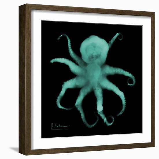 Luminous Octopus-Albert Koetsier-Framed Art Print