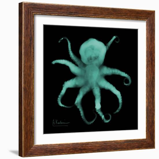 Luminous Octopus-Albert Koetsier-Framed Art Print