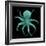 Luminous Octopus-Albert Koetsier-Framed Art Print