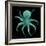 Luminous Octopus-Albert Koetsier-Framed Art Print