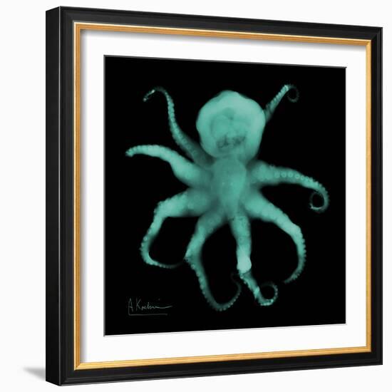 Luminous Octopus-Albert Koetsier-Framed Art Print