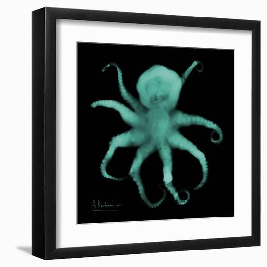 Luminous Octopus-Albert Koetsier-Framed Art Print