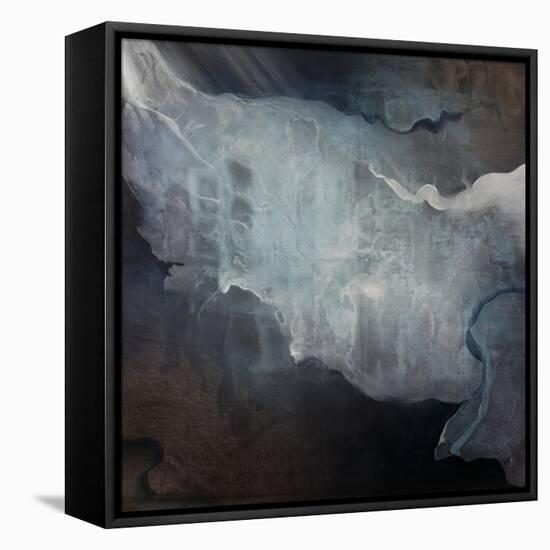 Luminous-Kari Taylor-Framed Premier Image Canvas