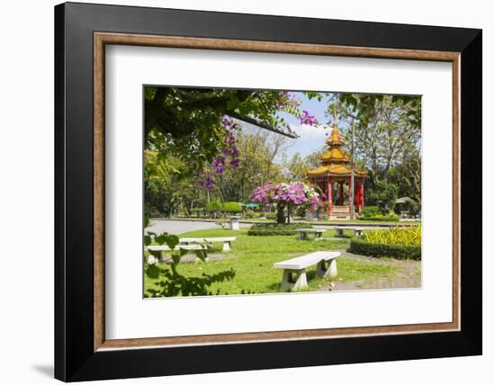 Lumphini Park, Ratchadamri Road, Bangkok, Thailand, Southeast Asia, Asia-Frank Fell-Framed Photographic Print