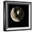 Luna 1 Spacecraft At the Moon, 1959-Detlev Van Ravenswaay-Framed Photographic Print