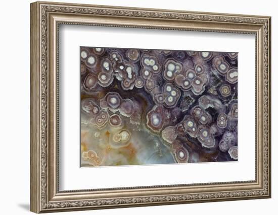 Luna Agate, Mexico-Darrell Gulin-Framed Photographic Print