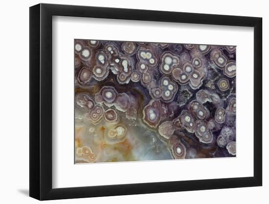 Luna Agate, Mexico-Darrell Gulin-Framed Photographic Print