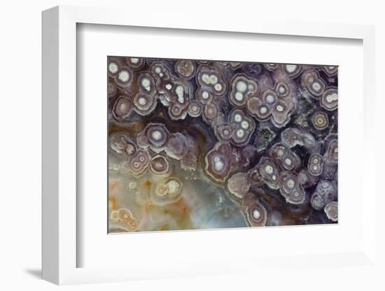 Luna Agate, Mexico-Darrell Gulin-Framed Photographic Print