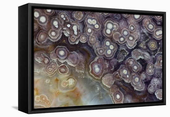 Luna Agate, Mexico-Darrell Gulin-Framed Premier Image Canvas