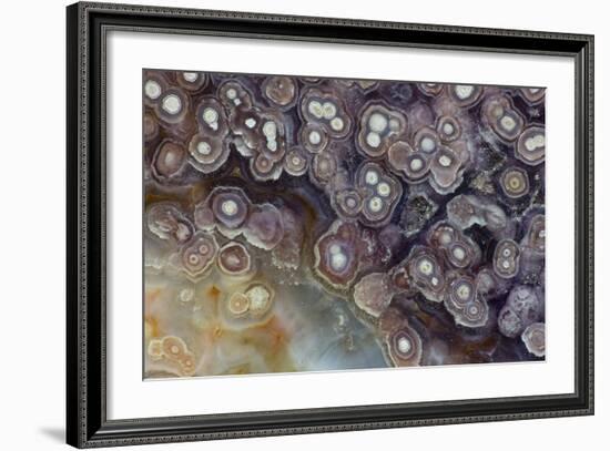 Luna Agate, Mexico-Darrell Gulin-Framed Photographic Print