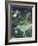 Luna Moth Clings to a Pond Side Chokecherry Tree-Alfred Eisenstaedt-Framed Photographic Print