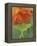 Luna Moth on Orange Dahlia Behind Glass, Pennsylvania, USA-Nancy Rotenberg-Framed Premier Image Canvas