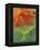 Luna Moth on Orange Dahlia Behind Glass, Pennsylvania, USA-Nancy Rotenberg-Framed Premier Image Canvas