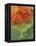 Luna Moth on Orange Dahlia Behind Glass, Pennsylvania, USA-Nancy Rotenberg-Framed Premier Image Canvas