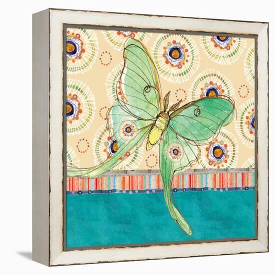 Luna Moth-Robbin Rawlings-Framed Stretched Canvas