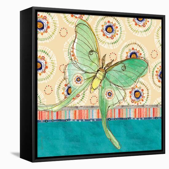 Luna Moth-Robbin Rawlings-Framed Stretched Canvas