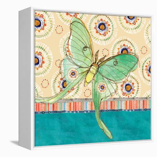 Luna Moth-Robbin Rawlings-Framed Stretched Canvas