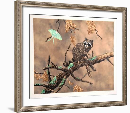 Luna (Racoon)-Chris Forrest-Framed Limited Edition