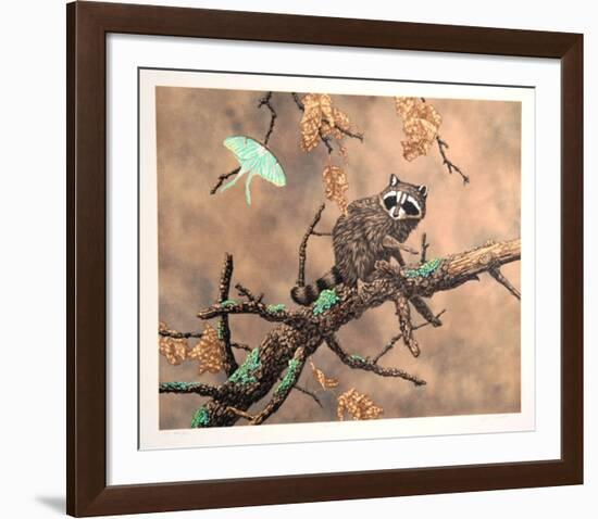 Luna (Racoon)-Chris Forrest-Framed Limited Edition