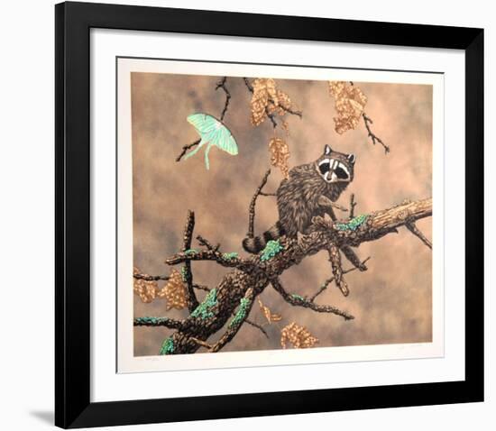 Luna (Racoon)-Chris Forrest-Framed Limited Edition