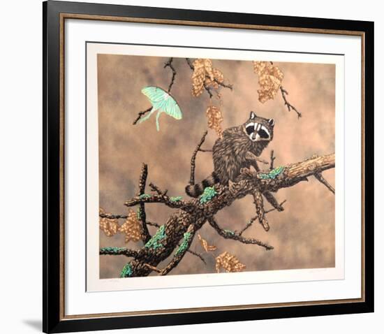 Luna (Racoon)-Chris Forrest-Framed Limited Edition