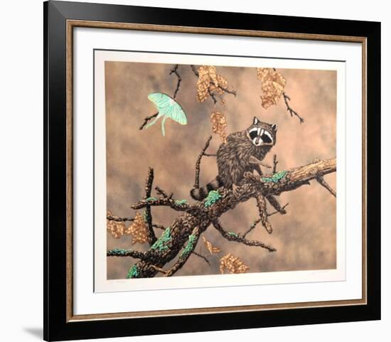 Luna (Racoon)-Chris Forrest-Framed Limited Edition