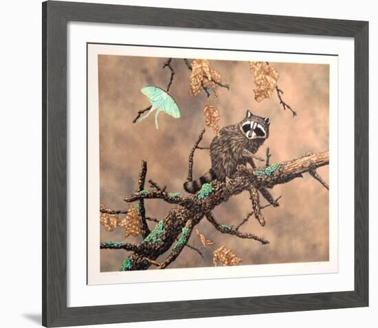 Luna (Racoon)-Chris Forrest-Framed Limited Edition