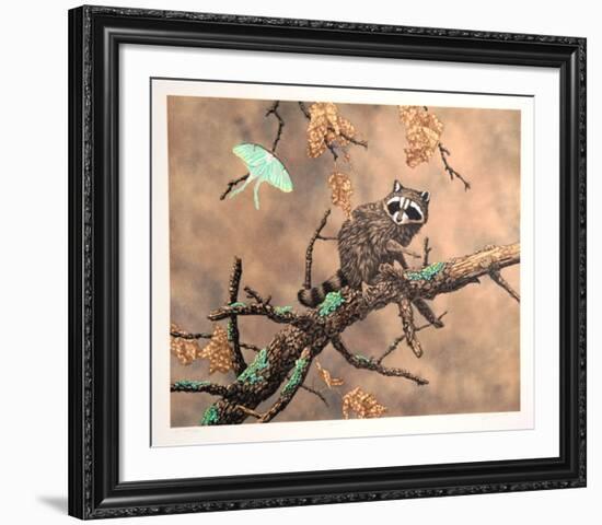 Luna (Racoon)-Chris Forrest-Framed Limited Edition