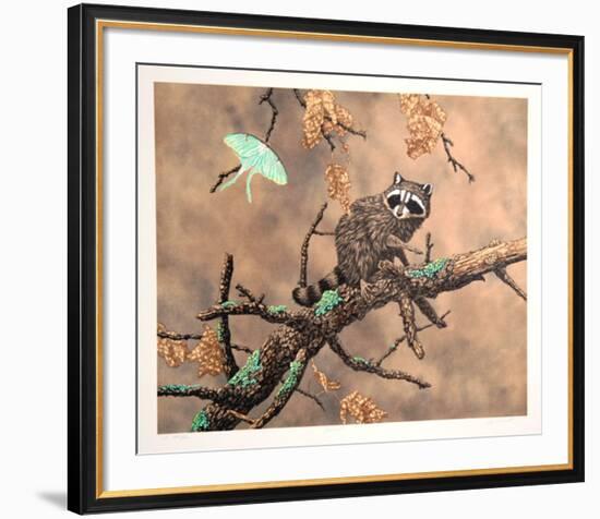 Luna (Racoon)-Chris Forrest-Framed Limited Edition