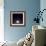 Luna-Luis Beltran-Framed Photographic Print displayed on a wall