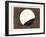 Lunar Eclipse on February 27, 1858-null-Framed Giclee Print