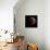 Lunar Eclipse-Stocktrek Images-Framed Premier Image Canvas displayed on a wall