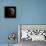 Lunar Eclipse-Stocktrek Images-Framed Premier Image Canvas displayed on a wall
