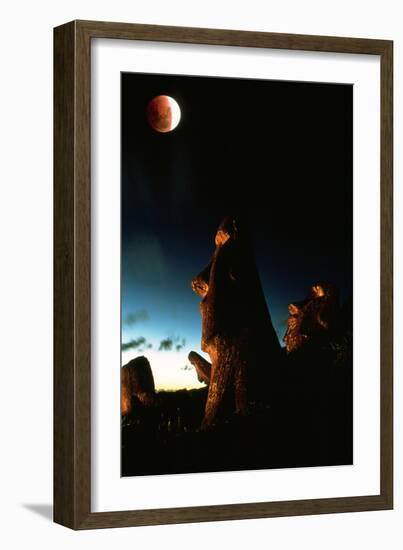 Lunar Eclipse-David Nunuk-Framed Photographic Print