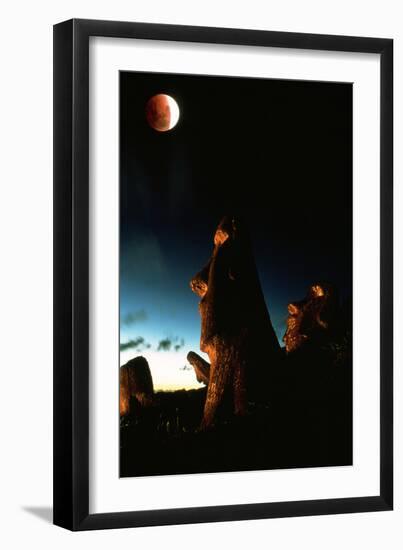 Lunar Eclipse-David Nunuk-Framed Photographic Print