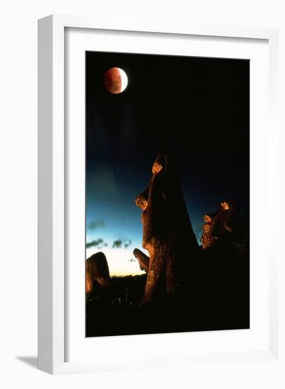 Lunar Eclipse-David Nunuk-Framed Photographic Print