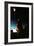 Lunar Eclipse-David Nunuk-Framed Photographic Print