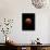 Lunar Eclipse-Alan Diaz-Photographic Print displayed on a wall