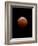 Lunar Eclipse-Alan Diaz-Framed Photographic Print