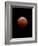 Lunar Eclipse-Alan Diaz-Framed Photographic Print