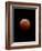 Lunar Eclipse-Alan Diaz-Framed Photographic Print