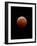 Lunar Eclipse-Alan Diaz-Framed Photographic Print